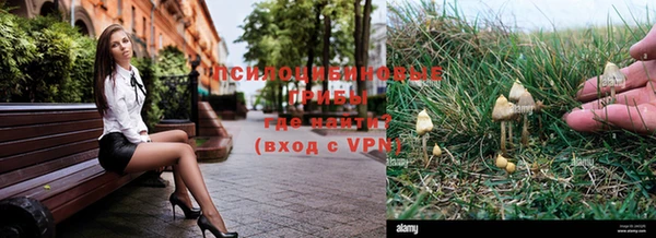 ешки Алзамай